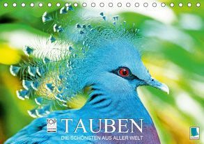 Tauben: die Schönsten aus aller Welt (Tischkalender 2019 DIN A5 quer) von CALVENDO