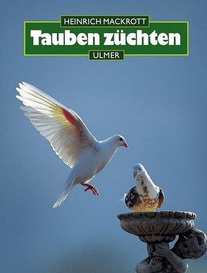 Tauben züchten von Mackrott,  Heinrich