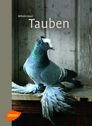 Tauben von Bauer,  Wilhelm