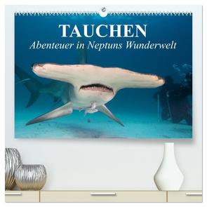 Tauchen – Abenteuer in Neptuns Wunderwelt (hochwertiger Premium Wandkalender 2024 DIN A2 quer), Kunstdruck in Hochglanz von Stanzer,  Elisabeth