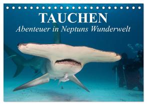 Tauchen – Abenteuer in Neptuns Wunderwelt (Tischkalender 2024 DIN A5 quer), CALVENDO Monatskalender von Stanzer,  Elisabeth