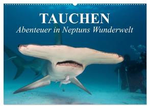 Tauchen – Abenteuer in Neptuns Wunderwelt (Wandkalender 2024 DIN A2 quer), CALVENDO Monatskalender von Stanzer,  Elisabeth