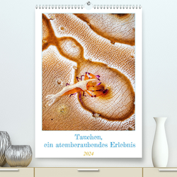 Tauchen, ein atemberaubendes Erlebnis (hochwertiger Premium Wandkalender 2024 DIN A2 hoch), Kunstdruck in Hochglanz