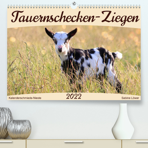 Tauernschecken-Ziegen (Premium, hochwertiger DIN A2 Wandkalender 2022, Kunstdruck in Hochglanz) von Löwer,  Sabine