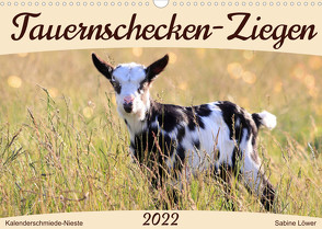 Tauernschecken-Ziegen (Wandkalender 2022 DIN A3 quer) von Löwer,  Sabine