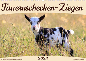 Tauernschecken-Ziegen (Wandkalender 2023 DIN A2 quer) von Löwer,  Sabine