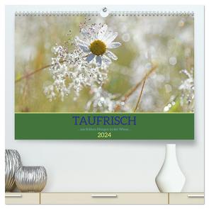 Taufrisch … am frühen Morgen in der Wiese (hochwertiger Premium Wandkalender 2024 DIN A2 quer), Kunstdruck in Hochglanz von GUGIGEI,  GUGIGEI