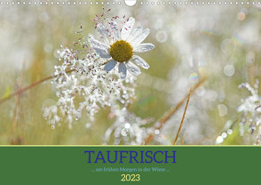 Taufrisch … am frühen Morgen in der Wiese (Wandkalender 2023 DIN A3 quer) von GUGIGEI