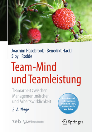 Team-Mind und Teamleistung von Hackl,  Benedikt, Hasebrook,  Joachim, Rodde,  Sibyll