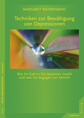 Techniken zur Bewältigung von Depressionen von Campisi,  Claudia, Wehrenberg,  Margaret