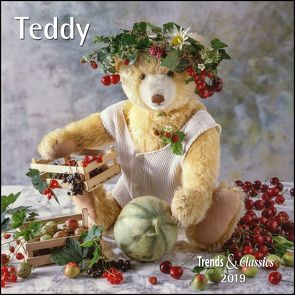 Teddy 2019 – Broschürenkalender – Wandkalender – mit herausnehmbarem Poster – Format 30 x 30 cm von DUMONT Kalenderverlag