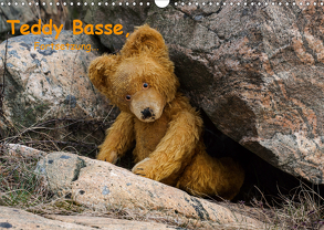 Teddy Basse, Fortsetzung… (Wandkalender 2020 DIN A3 quer) von Rosin,  Dirk