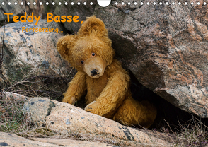 Teddy Basse, Fortsetzung… (Wandkalender 2020 DIN A4 quer) von Rosin,  Dirk