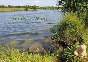 Teddy in … / Teddy in Wien von Merkelbach,  Helga