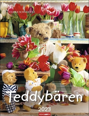 Teddybären-Kalender 2023. Foto-Wandplaner mit niedlichen Teddys. Jeden Monat ein liebevoll arrangiertes Bären-Foto im Format 30×39 cm. Mit Platz zum Eintragen. von Hofmann,  Gisela, Schneiders,  Ulrike, Weingarten