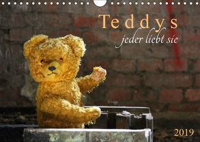 Teddys…jeder liebt sie (Wandkalender 2019 DIN A4 quer) von SchnelleWelten