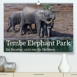 Tembe Elephant Park. Ein Paradies – nicht nur für Elefanten (hochwertiger Premium Wandkalender 2024 DIN A2 quer), Kunstdruck in Hochglanz von rsiemer,  rsiemer