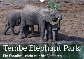 Tembe Elephant Park. Ein Paradies – nicht nur für Elefanten (Wandkalender 2024 DIN A3 quer), CALVENDO Monatskalender von rsiemer,  rsiemer