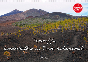 Teneriffa – Landschaften im Teide Nationalpark (Wandkalender 2021 DIN A3 quer) von Frost,  Anja