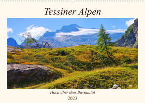 Tessiner Alpen – Hoch über dem Bavonatal (Wandkalender 2023 DIN A2 quer) von LianeM