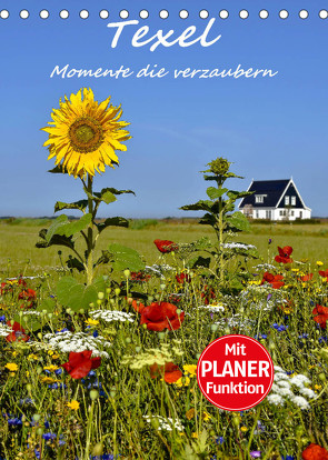 Texel – Momente die verzaubern (Tischkalender 2022 DIN A5 hoch) von Hackstein,  Bettina