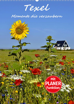 Texel – Momente die verzaubern (Wandkalender 2023 DIN A2 hoch) von Hackstein,  Bettina