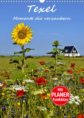 Texel – Momente die verzaubern (Wandkalender 2023 DIN A3 hoch) von Hackstein,  Bettina