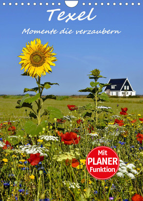 Texel – Momente die verzaubern (Wandkalender 2023 DIN A4 hoch) von Hackstein,  Bettina
