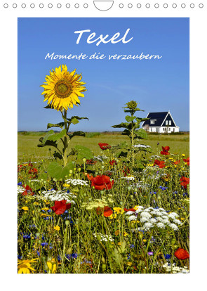 Texel – Momente die verzaubern (Wandkalender 2023 DIN A4 hoch) von Hackstein,  Bettina