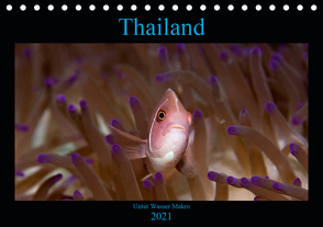Thailand – Unter Wasser Makro (Tischkalender 2021 DIN A5 quer) von schmidt xway-image.de,  ralf