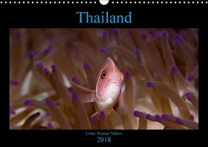 Thailand – Unter Wasser Makro (Wandkalender 2018 DIN A3 quer) von schmidt xway-image.de,  ralf