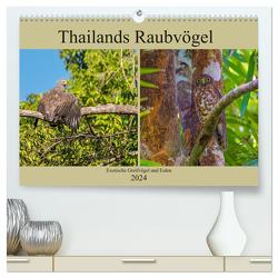 THAILANDS RAUBVÖGEL Exotische Greifvögel und Eulen (hochwertiger Premium Wandkalender 2024 DIN A2 quer), Kunstdruck in Hochglanz von Wünsche,  Arne