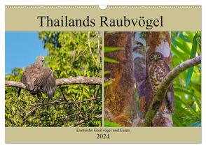 THAILANDS RAUBVÖGEL Exotische Greifvögel und Eulen (Wandkalender 2024 DIN A3 quer), CALVENDO Monatskalender von Wünsche,  Arne