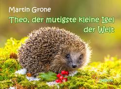 Theo, der mutigste kleine Igel der Welt von Grone,  Martin