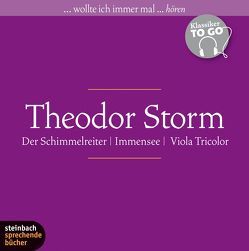 Theodor Storm – Drei ausgewählte Novellen von Büttner,  Wolfgang, Kilian,  Heinz, Storm,  Theodor