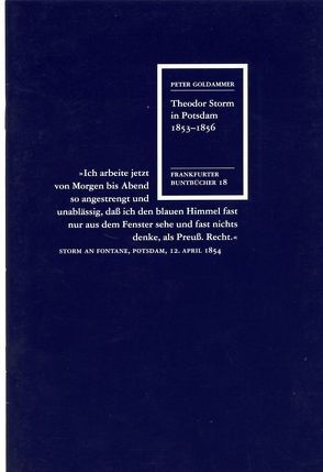 Theodor Storm in Potsdam 1853–1856 von Bruyn,  Wolfgang de, Goldammer,  Peter, Rehfeld,  Hans-Jürgen