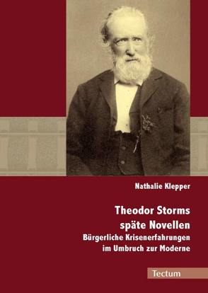 Theodor Storms späte Novellen von Klepper,  Nathalie