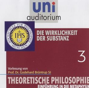 Theoretische Philosophie – Eine Einführung, Teil 3 von Brüntrup,  Godehard