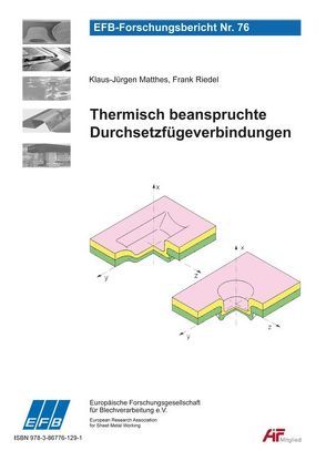 Thermisch beanspruchte Durchsetzfügeverbindungen von Matthes,  Klaus-Jürgen, Riedel,  Frank