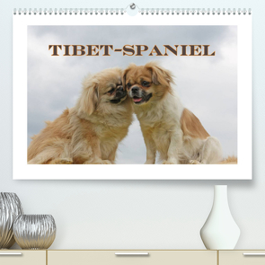 Tibet-Spaniel (Premium, hochwertiger DIN A2 Wandkalender 2023, Kunstdruck in Hochglanz) von Lindert-Rottke,  Antje