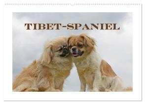 Tibet-Spaniel (Wandkalender 2024 DIN A2 quer), CALVENDO Monatskalender von Lindert-Rottke,  Antje