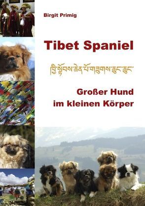 Tibet Spaniel von Primig,  Birgit