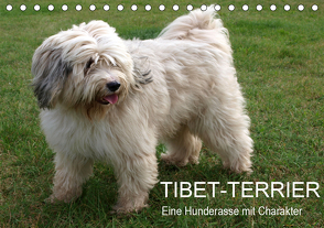 Tibet-Terrier – Eine Hunderasse mit Charakter (Tischkalender 2021 DIN A5 quer) von Bindig,  Rudolf