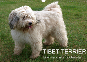 Tibet-Terrier – Eine Hunderasse mit Charakter (Wandkalender 2021 DIN A3 quer) von Bindig,  Rudolf