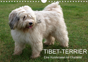 Tibet-Terrier – Eine Hunderasse mit Charakter (Wandkalender 2021 DIN A4 quer) von Bindig,  Rudolf