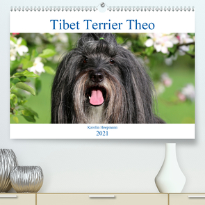 Tibet Terrier Theo (Premium, hochwertiger DIN A2 Wandkalender 2021, Kunstdruck in Hochglanz) von Heepmann,  Karolin