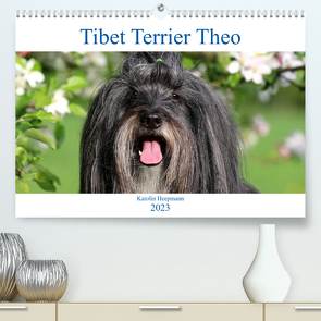 Tibet Terrier Theo (Premium, hochwertiger DIN A2 Wandkalender 2023, Kunstdruck in Hochglanz) von Heepmann,  Karolin