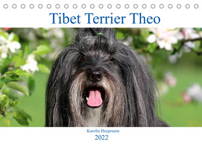 Tibet Terrier Theo (Tischkalender 2022 DIN A5 quer) von Heepmann,  Karolin