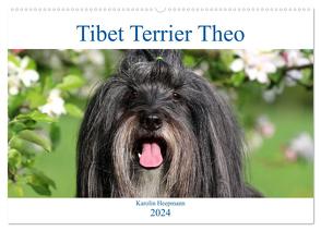 Tibet Terrier Theo (Wandkalender 2024 DIN A2 quer), CALVENDO Monatskalender von Heepmann,  Karolin