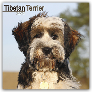 Tibetan Terrier – Tibet Terrier 2024 – 16-Monatskalender